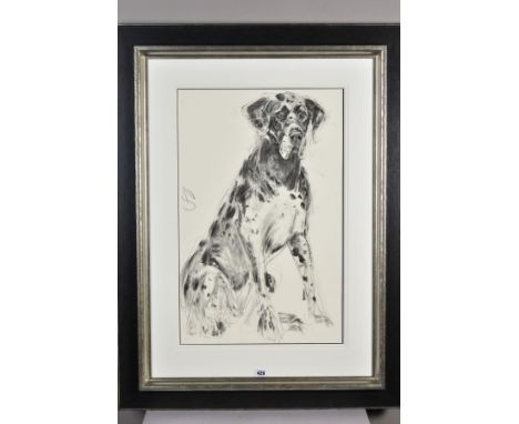 APRIL SHEPHERD (BRITISH CONTEMPORARY) 'DOPEY GREAT DANE, FRONT ON' a sketch of a dog, initialled centre left, charcoal on pap