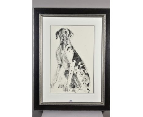 APRIL SHEPHERD (BRITISH CONTEMPORARY) 'WORRIED GREAT DANE' a sketch of a dog, signed lower left, charcoal on paper, mounted, 
