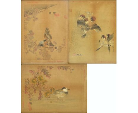 A set of three Chinese watercolours depicting various birds, with scripts of character marks and with seal marks, 19.5 x 26.5