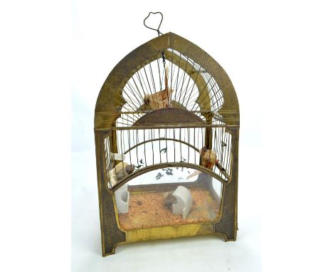 An Arts and Crafts style hammered brass bird cage with lancet top and glazed sides, with four birds and three ceramic feeders