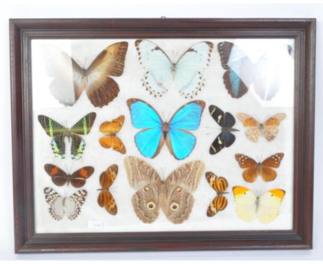 Entomology Interest - A vintage 20th century taxidermy butterfly collection. Framed and glazed. Measures 45cm x 35cm.