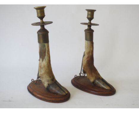 Pair of stag foot candles mounted on oak flints and a stag slot mounted on an oak shield with inscription '12.4.32 LSB Found 