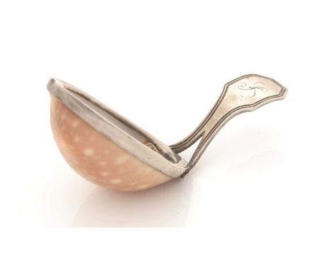 A George III silver-mounted natural shell caddy spoon, with an angular thread pattern handle, bifurcated where it meets the b