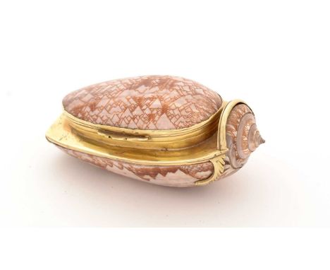 A late 18th Century gold-mounted natural shell snuff box (oliva porphyria), with reeded borders and shaped thumbpiece, unmark