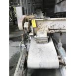 Raw Material Conveyor, Approx 25ft Long x 3ft Wide, Emerson Motor Model #EL10, 3HP, 230/440 Volts,