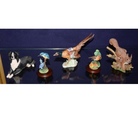 A small collection of animal ornaments, comprising of Goebel pheasant figure, small Border Fine Arts Robin and Kingfisher, Sq