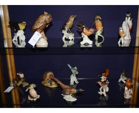 A quantity of Goebel porcelain bird figures, to include grouse, owl and robin red breast examples, various sizes, together wi