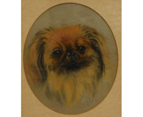 E.S. (20thC). Dog study, pastel, indistinctly initialled, 26cm x 22cm.