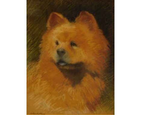 Faith Kenworthy-Browne (1882-1973). Chung - (dog study), pastel, signed, 43cm x 33cm.