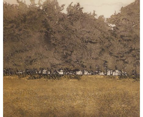 Phil Greenwood (b.1943). Coppice, artist signed print 42/150, dated (19)76, 44cm x 51cm.