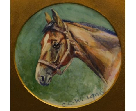 C.C.W. (19thC/20thC). Portrait of a horse, watercolour, initialled and dated 1906, 18cm x 18cm.