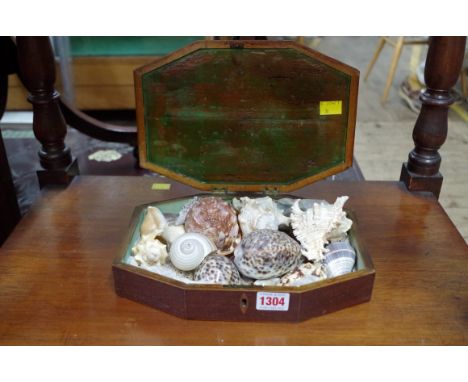 A small collection of shells, in Georgian mahogany box, the box 27cm wide.&nbsp; 