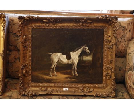 ATTRIBUTED TO JOHN BOULTBEE (EARLY 19TH CENTURY)Portrait of a saddled white hunter in a woodlandOil on canvas, 44 x 57cm