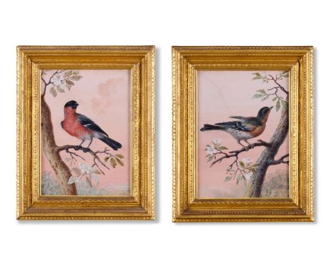 ATTRIBUTED TO CHRISTOPH LUDWIG AGRICOLA (GERMAN 1667-1719) A BRAMBLING; AND A BULLFINCH Bodycolour, a pair Each 28 x 20cm (11