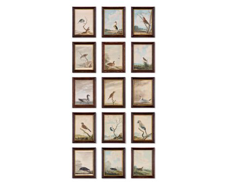 SIR WILLIAM ELFORD (BRITISH 1749 - 1837) A SET OF FIFTEEN WATERCOLOURS TO INCLUDE: PARTRIDGE; BLUE TIT; HERON; BULL FINCH; DU
