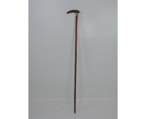 Walking Stick with Carved Horn Handle in the Form of an Animal Head 