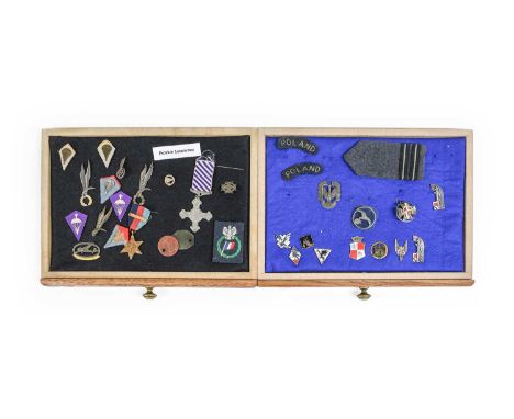 Two Displays of Second World War Polish Air Force Related Items, including an embroidered badge to Polish Volunteers in the R