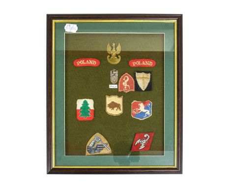 A Glazed Display of Eleven Second World War Polish Badges and Cloth Insignia, comprising a brass cap badge, 2nd Corps white m
