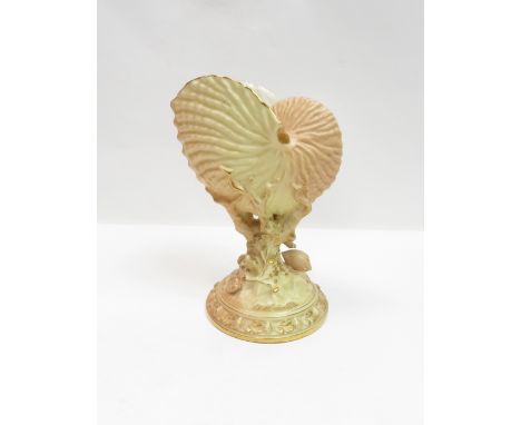 A Royal Worcester blush ivory nautilus shell vase, model 494, 22cm high