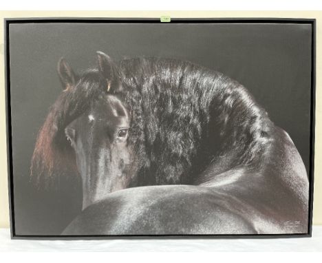 CHRISTIAN SCHWETZ. BRITISH 1967-2022 Study of a horse. Photographic print on canvas paper 33' x 47'. Prov: The artist's studi
