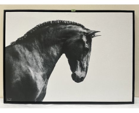CHRISTIAN SCHWETZ. BRITISH 1967-2022 Study of as a horse . Photographic print on canvas paper 33' x 47'. Prov: The artist's s