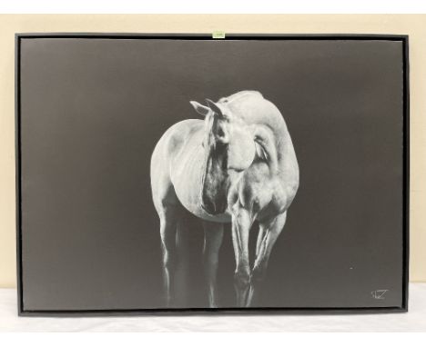 CHRISTIAN SCHWETZ. BRITISH 1967-2022 Study of a horse. Photographic print on canvas paper 33' x 47'. Prov: The artist's studi