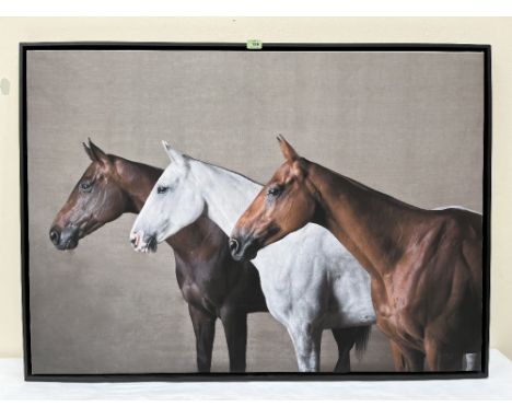 CHRISTIAN SCHWETZ. BRITISH 1967-2022 Study of three horses. Photographic print on canvas paper. 33' x 46½'. Prov: The artist'