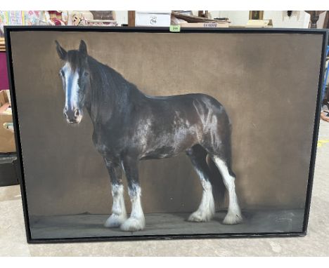 CHRISTIAN SCHWETZ. BRITISH 1967-2022 Study of a shire horse. Photographic print on board 33' x 47'. Prov: The artist's studio