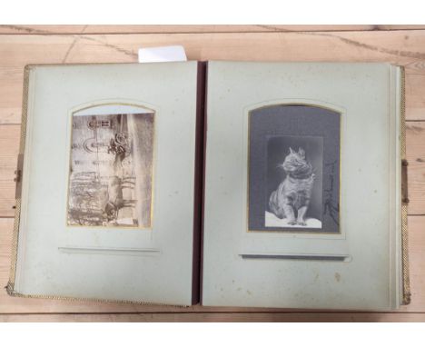Photographs. Portraits.&nbsp;Well worn Victorian album with litho. dec. card leaves, part filled with approx. 30 carte-de-vis
