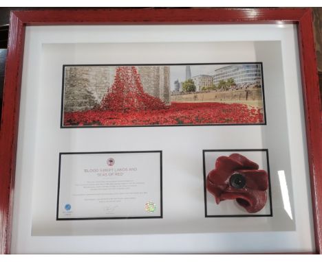 Framed Commemorative Hundred Year Anniversary Ceramic Poppy, photo and certificate. Created by Paul Cummins to commemorate th