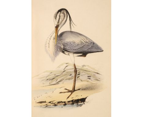 Meyer (Henry Leonard). Coloured illustrations of British Birds, and their Eggs, 7 volumes, London: G. Willis, 1853-57, 424 ha