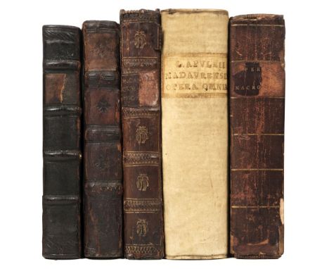 Seutonius. C. Suetonii Tranquiilli Duodecim Caesares: et de illustribus grammaticis, &amp; claris rhetoribus, libelli duo, Le
