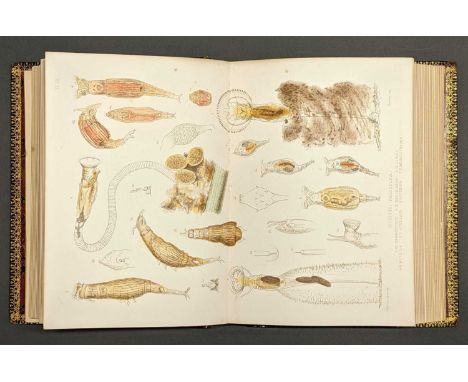 Hudson (Charles Thomas). The Rotifera; or Wheel-Animalcules, 3 volumes in 2, 1st edition, Longmans, Green, 1886, 2 volumes of