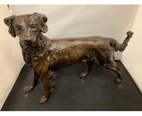 A LARGE BRONZE SCULPTURE OF A GUN DOG - H:36CM 