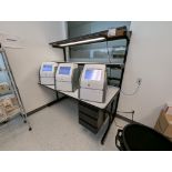 LAB WORKBENCH W/ LIGHTING AND POWER SETUP