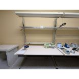 LAB WORKBENCH W/ LIGHTING AND POWER SETUP