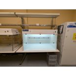 LAB WORKBENCH W/ LIGHTING AND POWER SETUP
