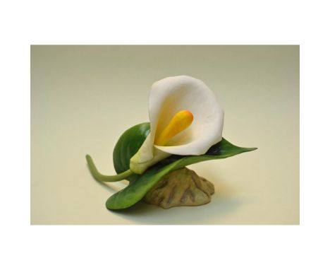 Bisque Porcelain Decorated, hand-created, hand-painted by the Boehm Artisans, featuring a beautiful Calla Lily. Hallmark: F50