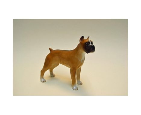 Glazed Porcelain Decorated, Vintage, featuring a Standing Boxer, early Boehm. Introduced in 1949. Hand painted by E.M.Boehm. 