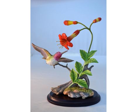 Maruri Presents the Hummingbird Collection featuring Anna's with Trumpet Creeper Porcelain Hummingbird Figurine. Issued: 1995