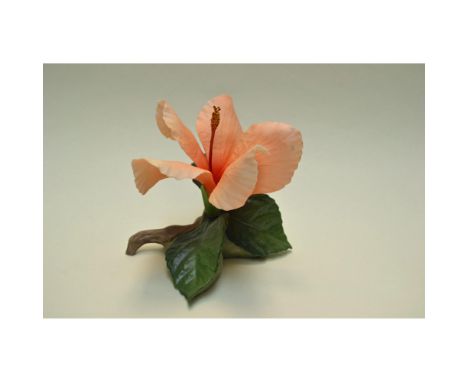 Bisque Porcelain Decorated, hand-created, hand-painted by the Boehm Artisans, featuring a beautiful Peach Hibiscus Floral. Ha