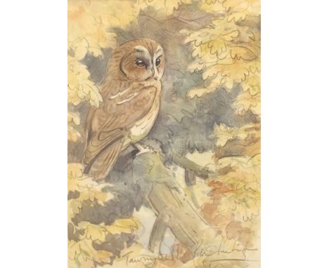 PETER PARTINGTON Tawny Owl watercolour on paper 21 x 28 cm CONDITION REPORT: The P&amp;P on this item would be £20.00 plus VA