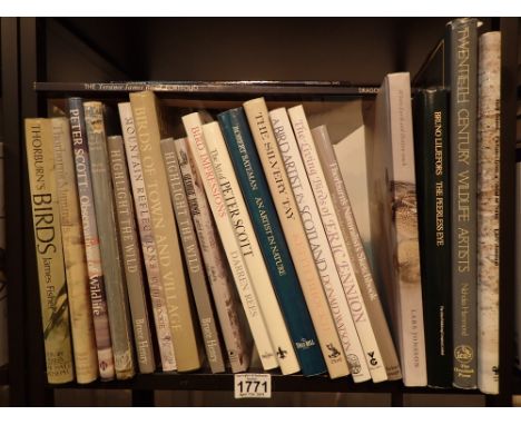 Shelf of Bird Artist books