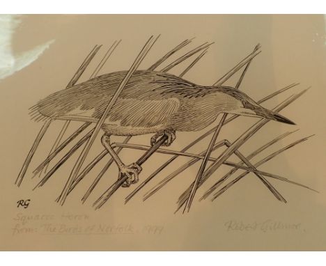 ROBERT GILLMOR Squacco Heron from Birds of Norfolk 1999 ink on paper 20 x 15 cm CONDITION REPORT: There is no damage or foxin