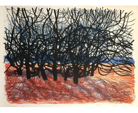 Bernard Cheese (1925-2013)'Thicket', signed, dated '63, titled and no. 12/50 in pencil to the margin, lithograph in colours, 