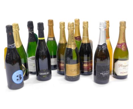 Miscellaneous bottles of sparkling wine, to include Prosecco, Muller Thurgau, etc., (13).