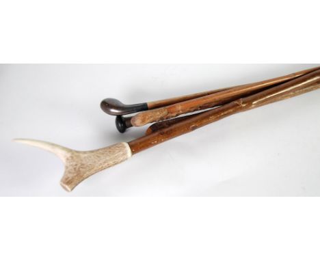 WALKING STICK with antler handle and FIVE OTHERS (6) 