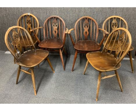 A set of six Ercol dining chairs including two Carvers.