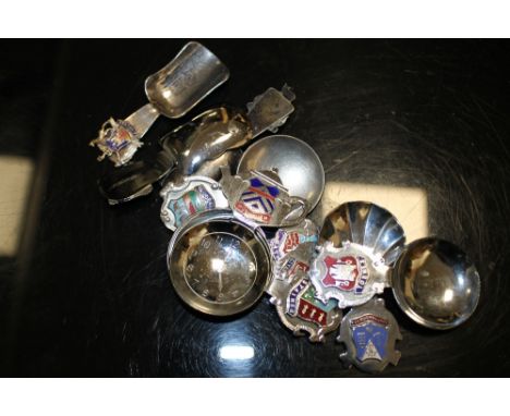 TEN ASSORTED CADDY SPOONS
