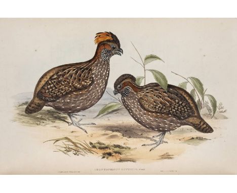 Gould (John). A Monograph of the Odontophorinae, or Partridges of America, 1850, 32 hand-coloured lithographed plates by Goul